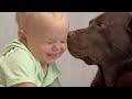 BABY TOLD A SECRET TO HIS DOG! SO CUTE!!!