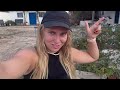 vlog: LIVING IN GREECE *housesitting* (taking a break from traveling)