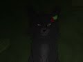 These boots are made for walking | HOLLYLEAF PMV | (Warrior Cats)