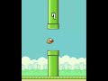 POV: You are bad at flappy bird 2