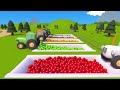 Learn colors with Meow meow Kitty Games – Tractors and color balls