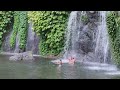 BANYUMALA WATERFALL BALI ‼ Air Terjun Banyumala Bali Terbaru ‼ Wisata Bali