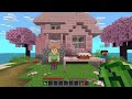 Minecraft 15 Year Journey! - Minecraft's Birthday! - Zebra's Minecraft Fun