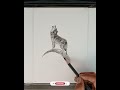 Wolf drawing with pencil step by step.