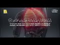 Surah Al-Mulk - سورة الملك | Calming and Relaxing Quran Recitation | Zikrullah TV