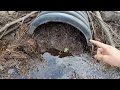 Unclogging A Large Culvert With Overnight Beaver Camera Building Back