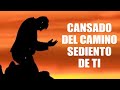 cansado del camino