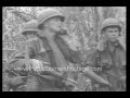 American casualties in Vietnam battle 1968 archival footage