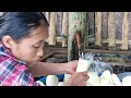Harvesting bamboo shoots goes to the market to sell. gardening, Daily life | Triệu Thị Dất