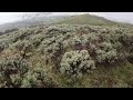Startling Grizzly Encounter in the Backcountry - Yellowstone