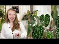 Fancy Philodendron | Top Rarest & Most Expensive Philodendron Types