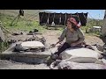 Nomads of Iran | How to make traditional bread | Baking Bread on Wood Fire