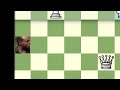 RACING KINGS IN CHESS Are INSANE! | Chess Memes #40