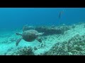 Seychellen - Trauminseln im Indischen Ozean - Die letzten Paradiese (TV-Dokumentation)