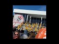 The Savanah Bananas players walking through the crowd