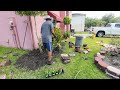 Front Yard Clean Up and Planting Seeds & Flowers #yard, #gardening