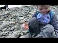 Fossil Hunting on the Washington Coast