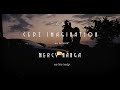 Cedz Imagination- Tonight [Official Lyrics Visualizer]