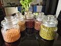 My Cute Glass Jars to Store Pulses | Bought it in the Home Centre