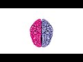 Brain Lateralization: The Split Brain