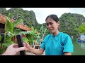 Vietnam's Venetian Village: Life in a Floating House 🇻🇳