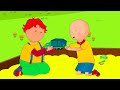 Caillou's Art Project | Caillou Compilations