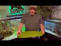 CHEAP - EASY - DIY Above Tank Basking Platform - ONLY $15 - Turtle Tank Upgrade