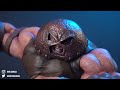 Sculpting JUGGERNAUT | X-Men [ Marvel Comics ]