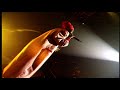 Capleton - Jah Jah City ( Live ) + Intro