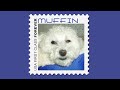 Photoshop Tutorial: How to Make Your Own POSTAGE STAMP.