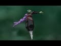 Why Zamasu Deserves Your Sympathy