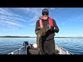 Luring Flathead-Lake Macquarie.