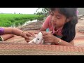 The Girl's Best Friend is a Kitten, BEST Original Video Kitten 2024,#kitten #smile #nature