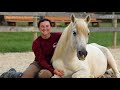 Rescue Horse With 30-Pound Hooves Can Walk Again | Insider