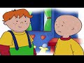 Caillou and the Snowflakes | Caillou Cartoon