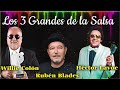 Willie Colón, Rubén Blades & Héctor Lavoe ✨ Los 3 Grandes De La Salsa ✨ Las Mejores Canciones Salsa