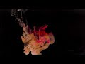 Abstract Liquids 8 - Ink Water Mixing - Relaxing Visuals - Abstract Colors