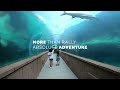 Atlantis Paradise Island |All you can Eat Dinner BUFFET | Poseidon's Table | Bahamas | Tour | Cost