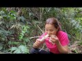 FULL VIDEO: Alone In The Forest:Get bamboo. Cooking in the forest/ Phạm Tuyết Mai @singlegirl1993