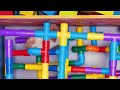 5-Level Hamster Maze from Slick Slime Sam