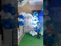 ❄️FROZEN❄️ theme 7th Birthday  Balloon Set-up|LYNCH HERSCHIEL