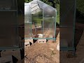 The greenhouse is up!!! #greenhouseproject #gardening #backyardgardening #youtube