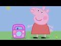 pp pig likes music