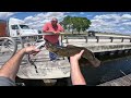 Alligator Alley Rest Stop Fishing (EVERY CATCH!)