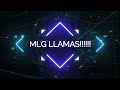 MLG LLAMA