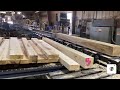 48’ Double Cut Bandsaw..  Sawing Soft Maple Grade Lumber #bandsawmill #likeandsubscribe #share