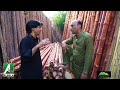 The longest wooden ladder | Saleem Albela Goga Pasroori Funny Video