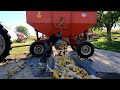 First Day of Picking Corn! Harvest 2023