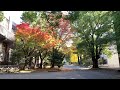 Autumn playlist, relaxing music, jazz, the fall, Autumn in Kyoto, Kyoto University