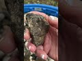 Tons Of Fascinating Finds From The Desert Of New Mexico! 6/20/24